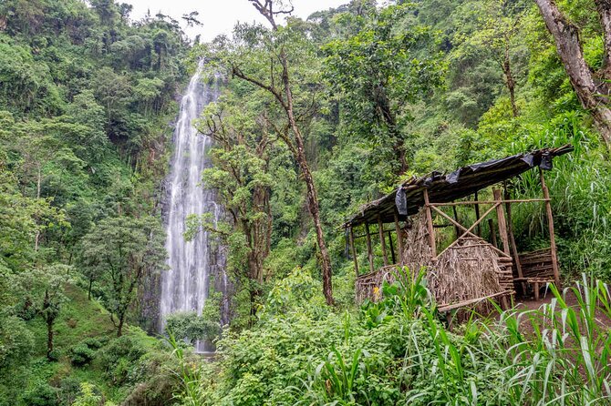 Private Full-Day Trip to Materuni Waterfalls - Participant Eligibility
