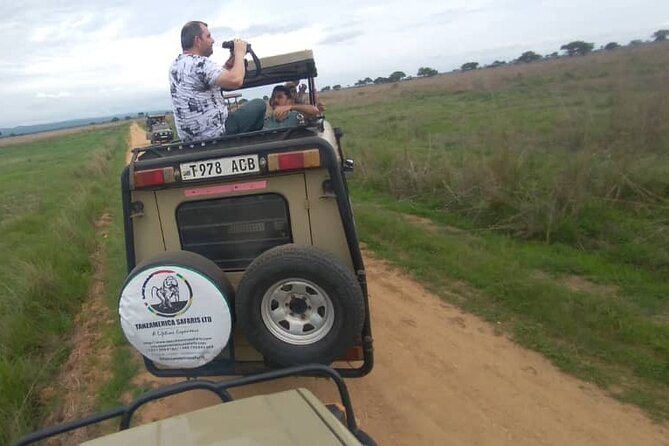 Private Full-Day Trip to Mikumi National Park From Dar Es Salaam - Wildlife Viewing Opportunities