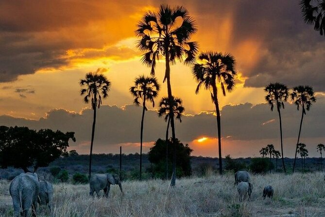 Private Full-Day Trip to Mikumi National Park From Dar Es Salaam - Confirmation and Accessibility