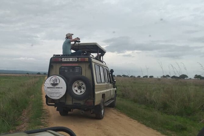 Private Full-Day Trip to Mikumi National Park From Dar Es Salaam - Participation and Group Size