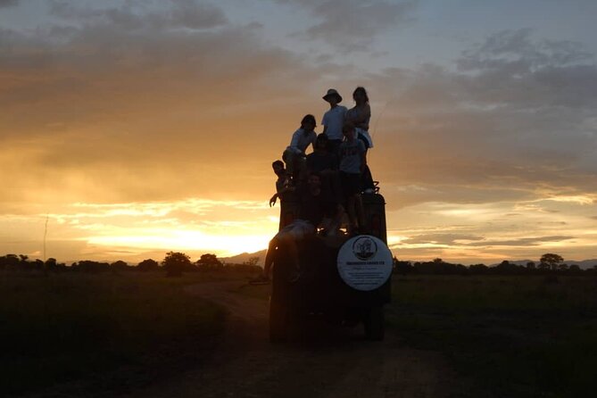 Private Full-Day Trip to Mikumi National Park From Dar Es Salaam - Additional Considerations