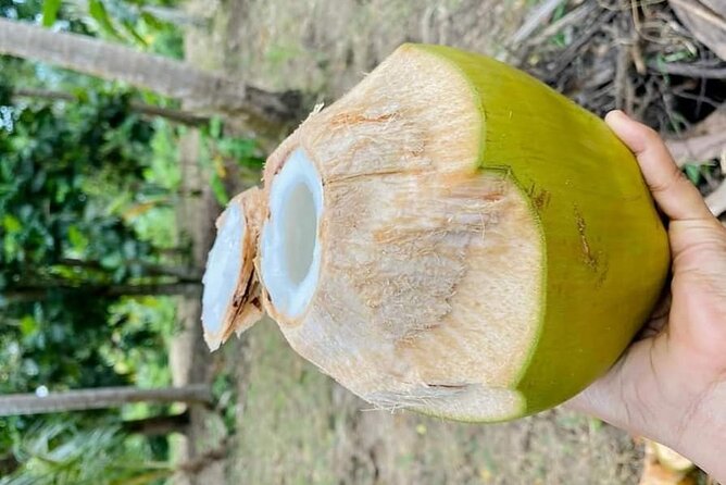 Private Full Day Trip to Stone Town, Spice Farms and Jozani Forest - Exploring Jozani Forest