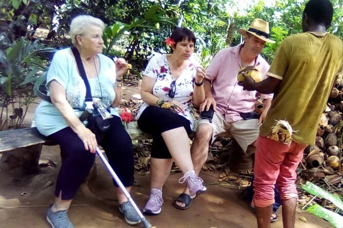 Private Full Day Trip to Stone Town, Spice Farms and Jozani Forest - Discovering Spice Farms