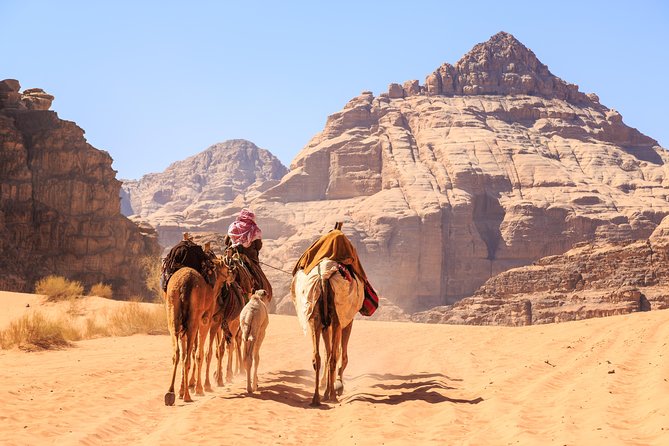 Private Full Day Trip to Wadi Rum Valley of Moon Martian Desert From Amman - Included in the Experience