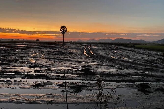 Private Full Day Tuk Tuk Tour in Battambang - Itinerary Highlights