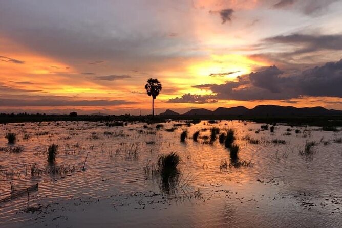Private Full Day Tuk Tuk Tour in Battambang - Customer Reviews