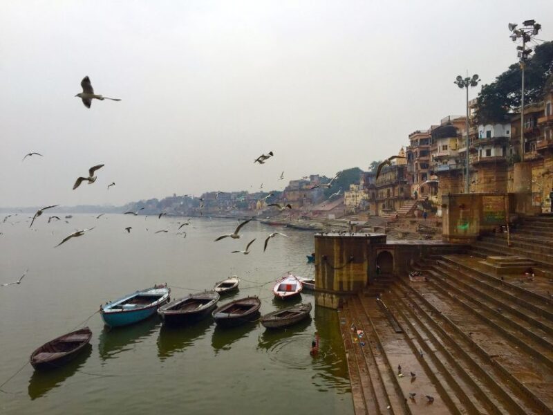 Private Full-Day Varanasi Tour & Monkey Temple - Key Points