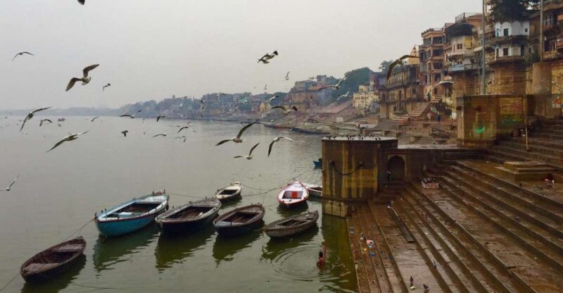 Private Full-Day Varanasi Tour & Monkey Temple - Itinerary Highlights