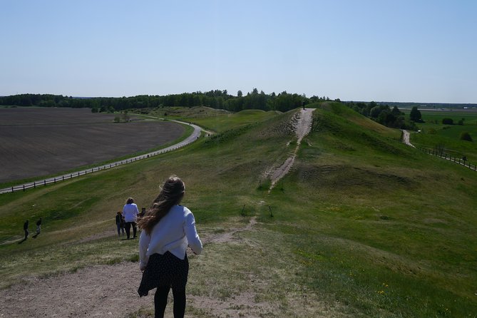 Private Full Day Viking History Tour From Stockholm Including Sigtuna and Uppsala - Private Tour Experience