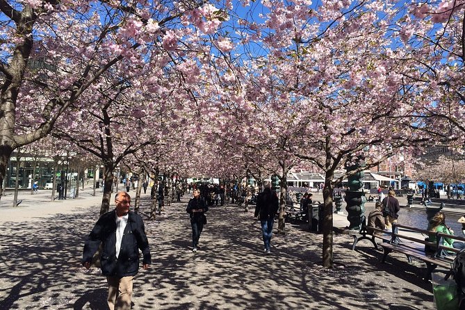 Private Full Day VIP City Tour by Limousine Car in Stockholm - Booking Information and Policies