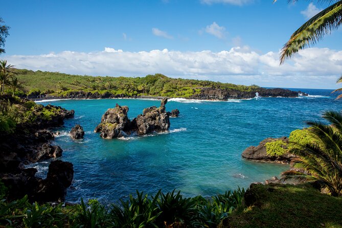 Private Full-Day Waterfall Beach and Jungle Tour of Maui - Jungle Exploration