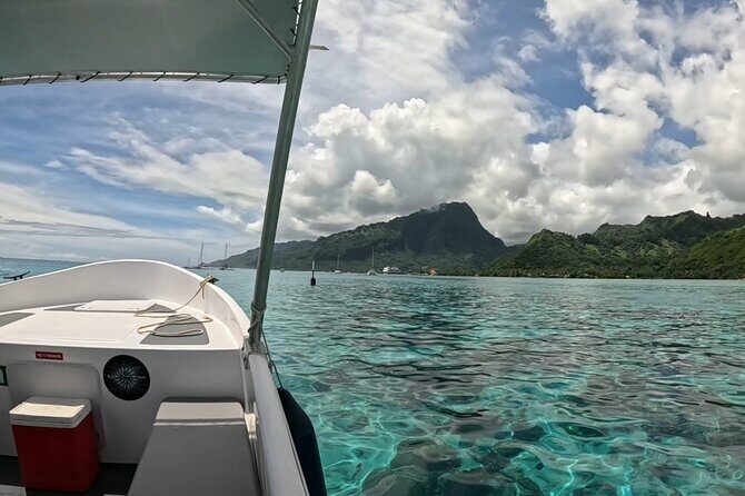 Private full day whale watching tour with lunch - FAQ