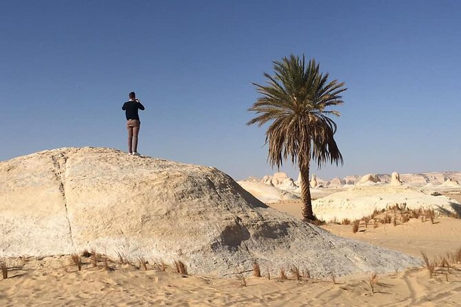 Private Full-day White and Black Desert Tour From Cairo/Giza - Overview and Highlights