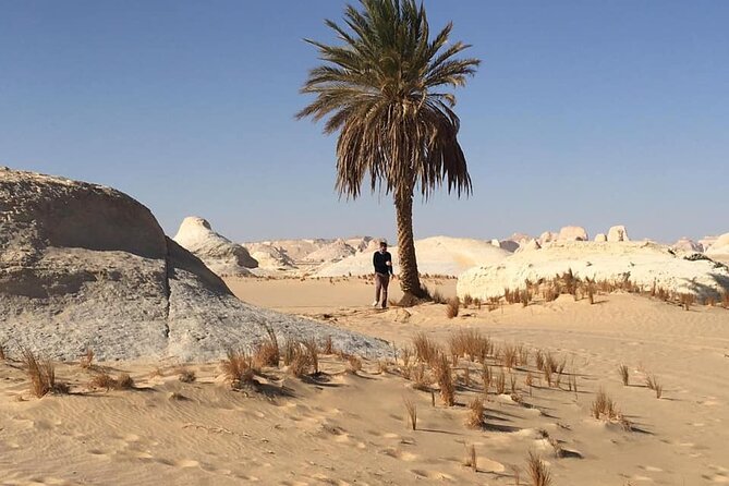 Private Full-day White and Black Desert Tour From Cairo/Giza - Desert Landscapes