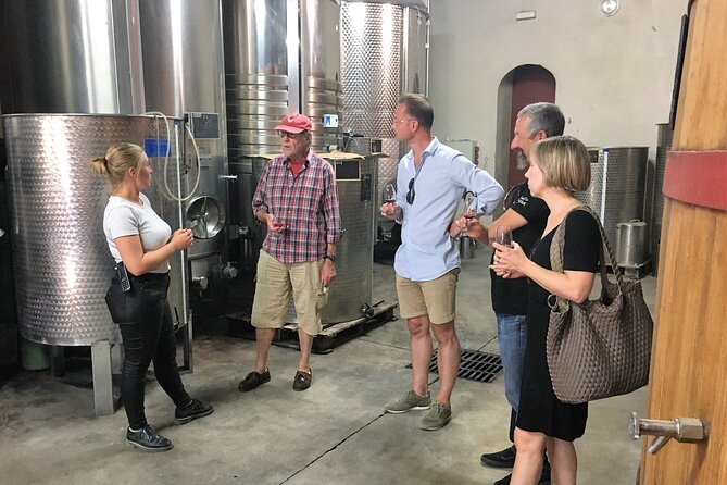 Private Full Day Wine Tour in Provence - Personalized Attention and Insights