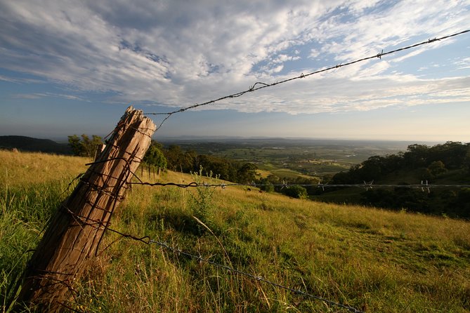 Private Full-Day Wine Tour in the Hunter Valley - Pickup Information