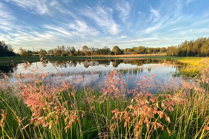 Private Full-Day Wine Tour in the Hunter Valley - Stunning Locations