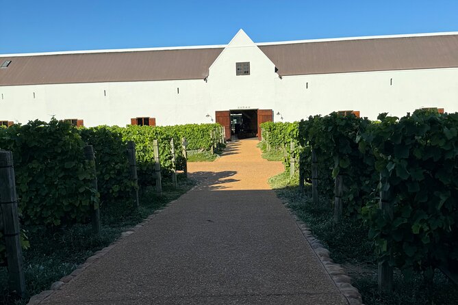 Private Full Day Wine Tour: Stellenbosch and Franschhoek & Paarl - Transportation and Accessibility
