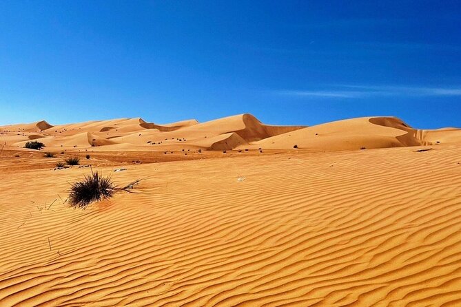 Private Full Day With Watching Desert Sunset - Pricing and Booking