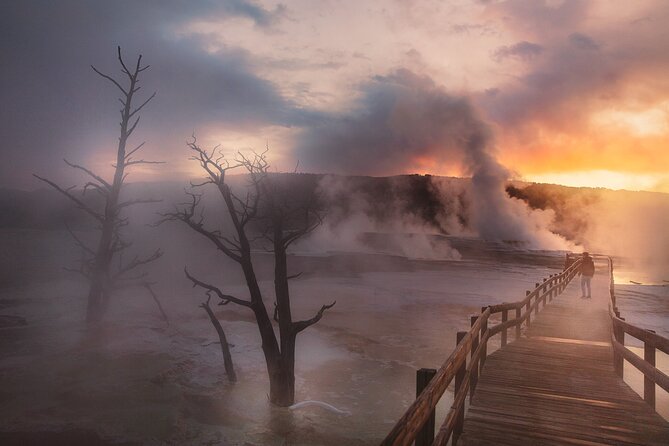 Private Full-Day Yellowstone National Park Tour - Menu and Refreshments