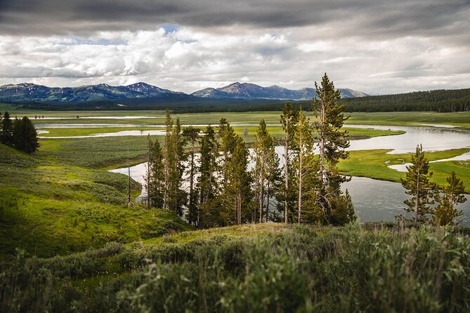 Private Full-Day Yellowstone National Park Tour - Pickup and Meeting