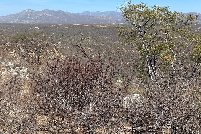 PRIVATE Fun Hiking Tour With Awesome Views - Frequently Asked Questions