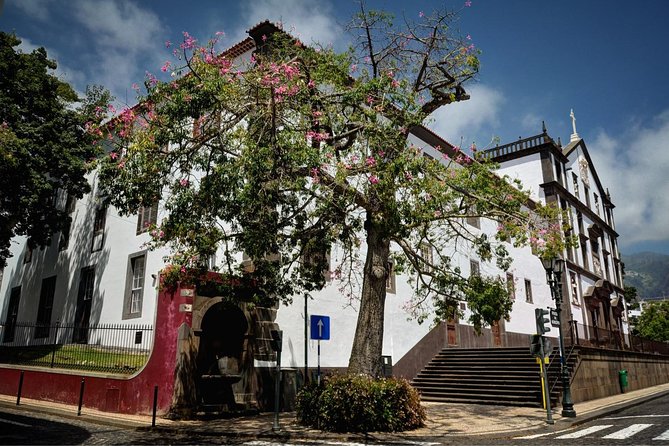 Private Funchal City Tour by Tukxi - Highlights