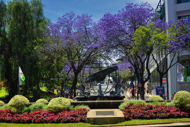 Private Funchal City Tour by Tukxi - Pickup and Drop-off Options