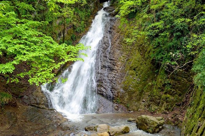 Private Gabala Tour - Exploring Gabala City