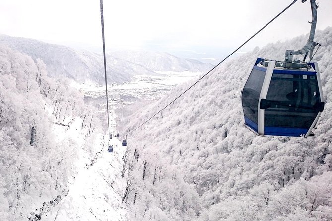 Private Gabala Tour - Cancellation Policy