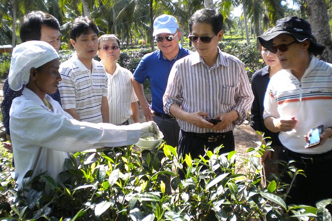 Private Galle Day Tour With Boat Safari & Tea Factory Visit - All Inclusive - Traveler Information
