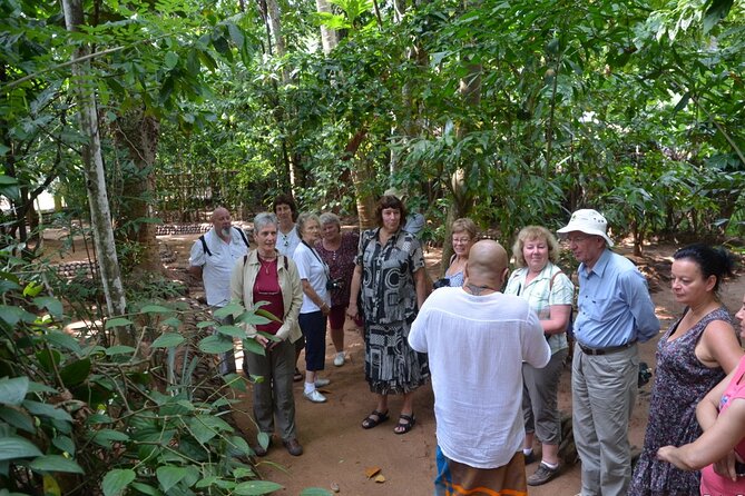 Private Galle Day Tour With Boat Safari & Tea Factory Visit - All Inclusive - Reviews Summary