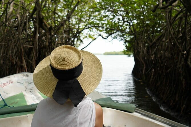 Private Galle Day Tour with River Safari, Stilt fishing & Turtles - A Full Breakdown of the Itinerary