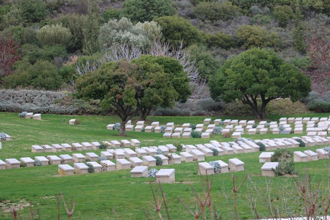 Private Gallipoli Full-Day Trip From Istanbul - Transportation and Logistics