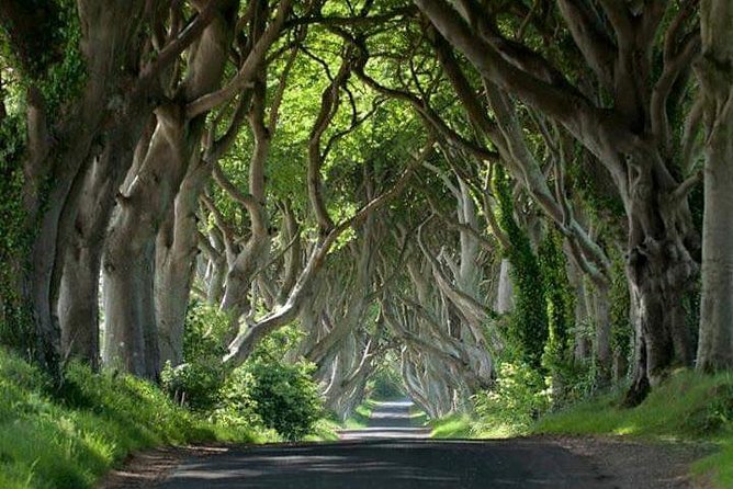 Private Game of Thrones Including Giants Causeway Causeway Coast Rope Bridge - Key Points