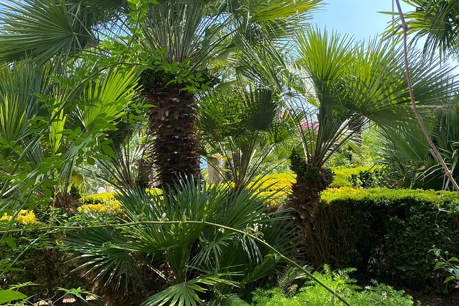 Private Game of Thrones Tour With Kings Landing Garden - Inclusions