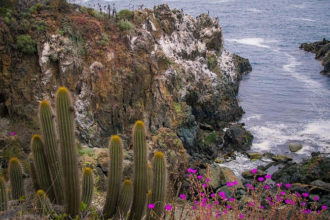 Private Garden Tour in Central Coast of Chile With Lunch Included - Key Points