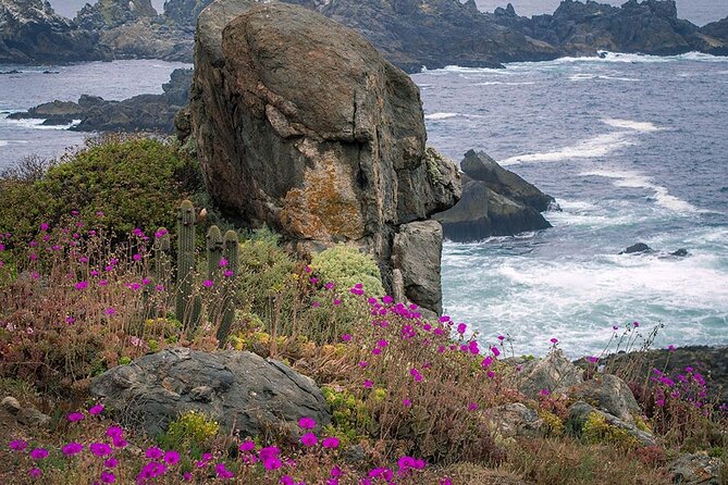 Private Garden Tour in Central Coast of Chile With Lunch Included - Inclusions and Exclusions