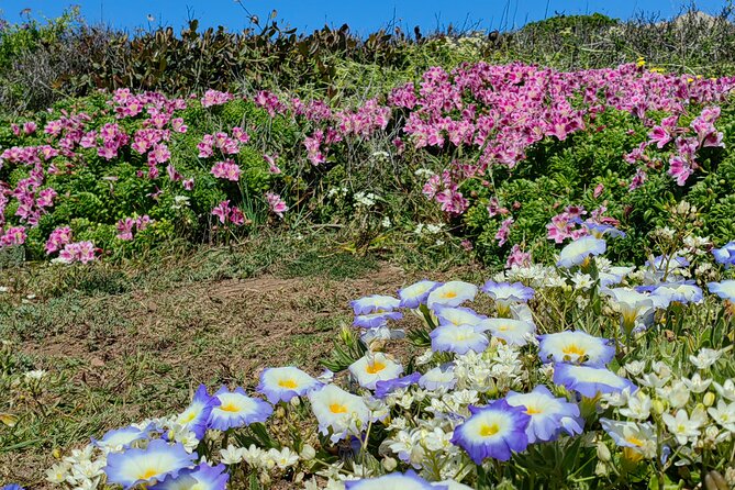 Private Garden Tour in Central Coast of Chile With Lunch Included - Exploring Central Coast Gardens