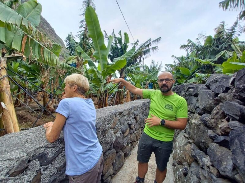 Private - Gastro Hike With Levada Walk and Local Food - Inclusions