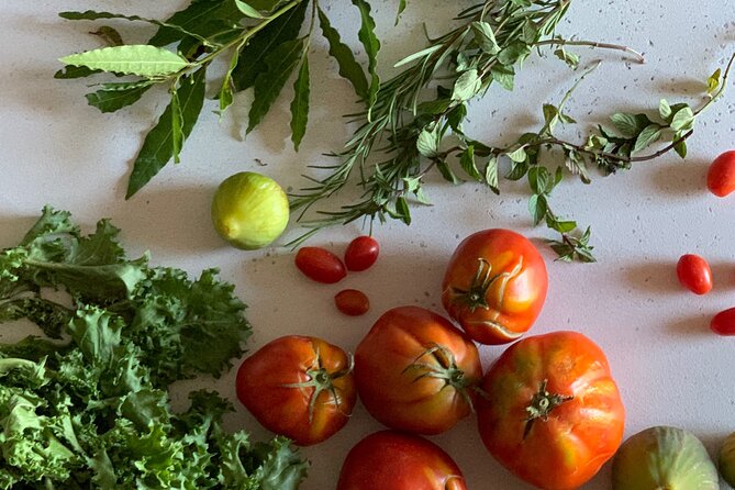 Private Gastronomy Tour at the Farmers Market - Tour Schedule