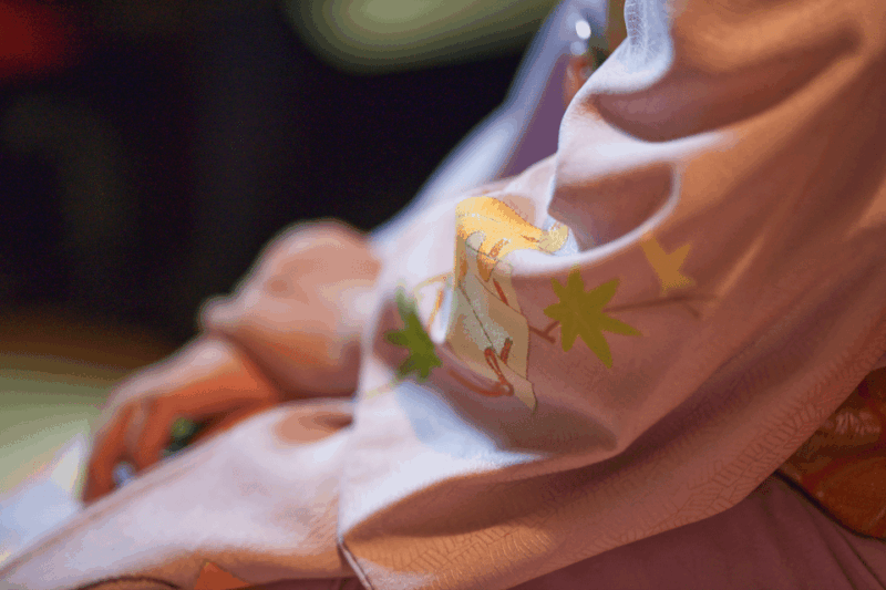 Private Geisha Show With Maiko, an Geisha Apprentice - Key Points