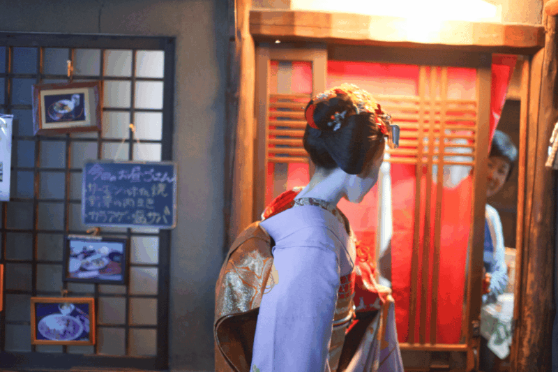 Private Geisha Show With Maiko, an Geisha Apprentice - Maiko Performance