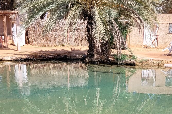 Private Getaway in the Desert Like No Other - Recommendations