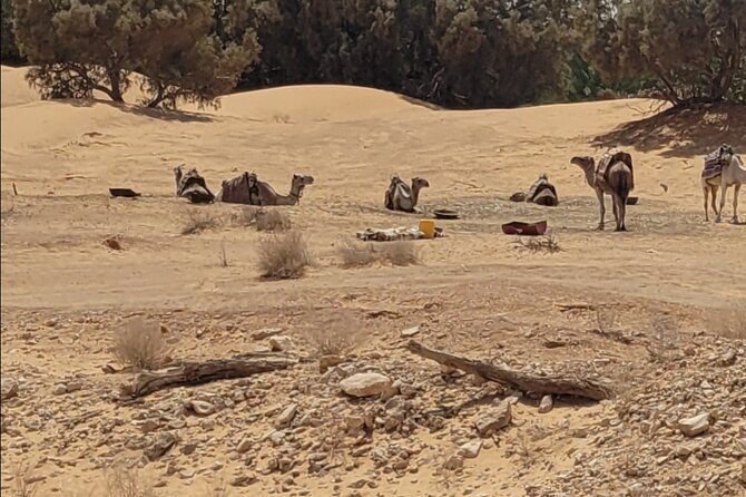 Private Getaway in the Desert Like No Other - Meeting and Pickup