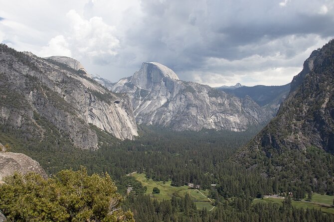 Private Giant Sequoia Grove Hike - Customizable Hike Experience