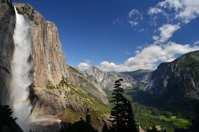 Private Giant Sequoia Grove Hike - Discover the Ancients