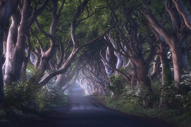 Private Giants Causeway Experience Extended From Belfast - Pricing and Cancellation Policy