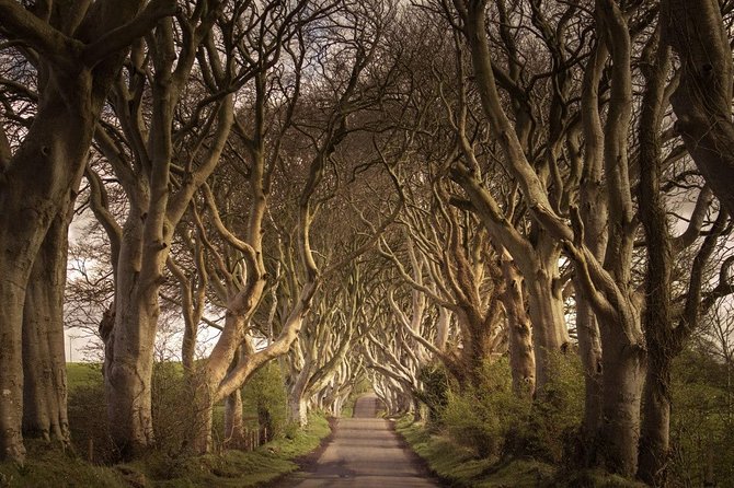 Private Giants Causeway Experience Extended From Belfast - Game of Thrones Filming Locations