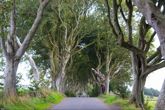 Private Giants Causeway Experience Including Game of Thrones - Exploring Giants Causeway